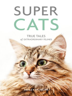 cover image of Super Cats